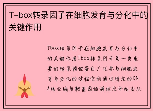 T-box转录因子在细胞发育与分化中的关键作用